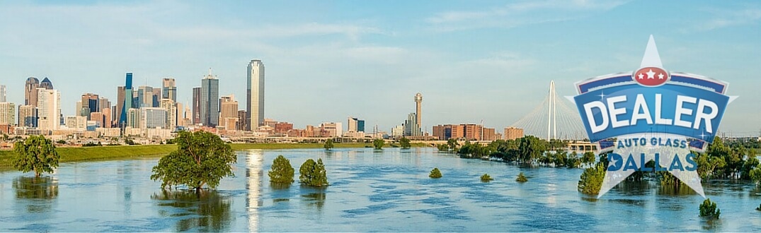 Windshield Repair Team